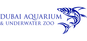 Dubai Aquarium